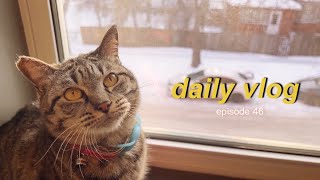 Ep 46 Cat’s First Time in Snow 🙀 Nude Drawing 3D Animation Web Design  Life in Winnipeg Vlog [upl. by Greeley]