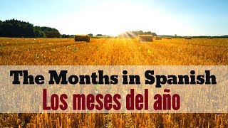 Spanish Months Song Canción de los Meses with Macarena Moves [upl. by Kirenoj]