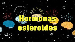 Hormonas esteroides [upl. by Ymmit620]