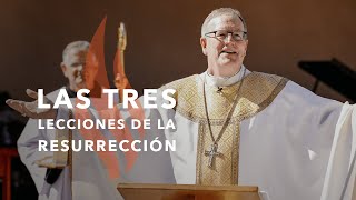 Las Tres Lecciones de la Resurrección  Sermón del Domingo del obispo Robert Barron [upl. by Darej961]