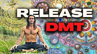 Breathwork To Help Support The Release Of DMT 3 Rounds Of Guided Breathing [upl. by Amocat]