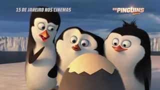 Os Pinguins de Madagascar  Spot de TV [upl. by Varini]