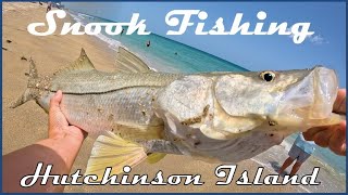 Snook Fishing on Hutchinson Island in Jensen Beach FL 4k [upl. by Negyam]