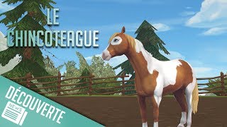 ACHAT DU PONEY CHINCOTEAGUE  Star Stable  SSO [upl. by Auos]