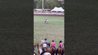 Pendleton Round Up barrel pattern is insane pendletonroundup barrelracing roydinges [upl. by Uel340]