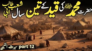 Seerat Un Nabi ﷺ part 12  Shab e abi talib Ka Waqia  شعب ابی طالب کا واقعہ  Daniyal Voice [upl. by Kinsman214]