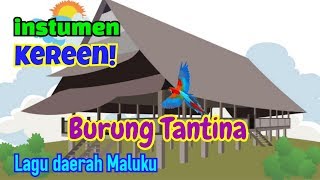 INSTRUMEN  KARAOKE quotBURUNG TANTINAquot Lagu daerah Maluku [upl. by Ardnu]