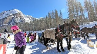 The hidden valley Alta Badia a ski run ending with a horse tow [upl. by Haidabej]