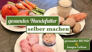 Hundefutter selber machen REZEPT für ein gesundes langes Hundeleben [upl. by Somerville]