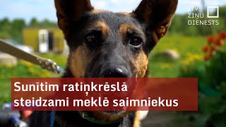 Sunītim ratiņkrēslā steidzami meklē saimniekus [upl. by Pittel]