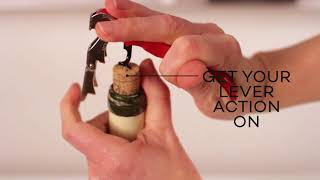 How to Open a Bottle of Wine With a Corkscrew [upl. by Zilef329]