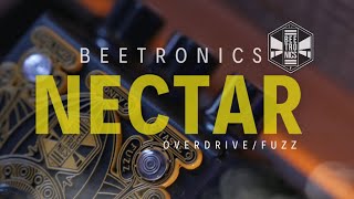 Tone Sweetener BEETRONICS  NECTAR OverdriveFuzz [upl. by Adiahs]