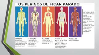 O sedentarismo e suas consequências [upl. by Idnor]