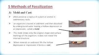 ES3209 2 3 2 Methods of Fossilization [upl. by Ahsenwahs396]