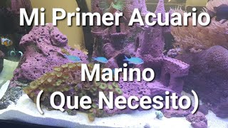 ¿Que Necesito Para Mi Primer Acuario Marino  Costo Y Materiales [upl. by Onyx400]