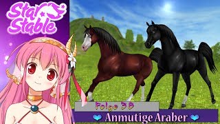 Anmutige Araber 💜 Star Stable Online Update News »38« [upl. by Fattal535]