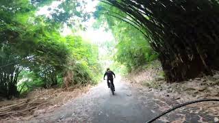 Part 02  Singapore  T15 Mandai MTB Trail  Chestnut Nature Park MTB Trail [upl. by Porta]