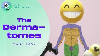 How to Easily Memorize the Dermatomes [upl. by Rorrys824]