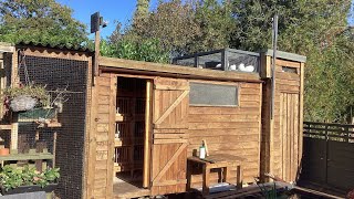 Tippler pigeon loft and kit box measurements [upl. by Wilinski]