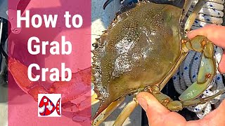 How to Grab Crab  Kayak Fishing  Tampa Bay [upl. by Annaeed]