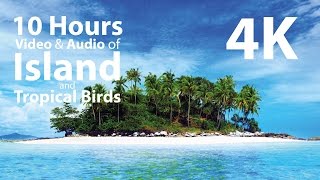 4K UHD 10 hours  Tropical Island amp Gentle BirdsWaves Audio window  relaxation meditation nature [upl. by Anahahs]