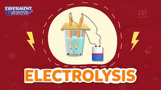 Electrolysis of Water Experiment at Home  Science Experiment for Kids  ExperimentShorts [upl. by Anneehs]