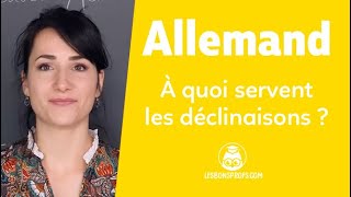 À quoi servent les déclinaisons   Allemand  Collège  Les Bons Profs [upl. by Elicul861]