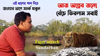 অল্পের জন্যে বাঘের মুখ থেকে বেঁচে ফিরলাম  tiger attack  sundarbanoligoli [upl. by Intihw]