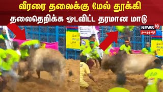 Palamedu Jallikattu  வீரரை தலைக்கு மேல் தூக்கி தலைதெறிக்க ஓடவிட்ட தரமான மாடு [upl. by Jepson]