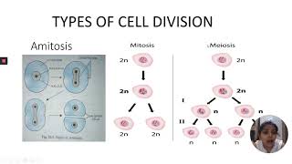 Cell Division  Learn from a Bio Mentor [upl. by Rahs]