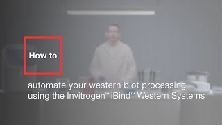 How to automate your western blot processing using the Invitrogen iBind Western Systems [upl. by Akemed959]