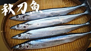 1公斤1490元的魚 爛肚了還做生魚片吃嗎 [upl. by Youngran]