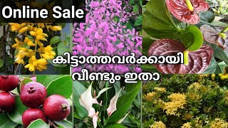 Sale 🥰 കുറഞ്ഞ വിലയിൽ ചെടികൾ കൊടുക്കുന്നു 🥰 whatsapp 6238606684 [upl. by Ttayw83]