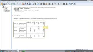 How to Use SPSS  Point Biserial Correlation [upl. by Harbird]