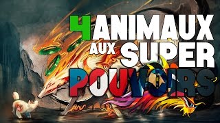 4 Animaux aux SUPER POUVOIRS [upl. by Nelyag]