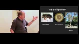 02 Invasive Ambrosia Beetle Conference  quotWhat is the Problemquot  Richard Stouthamer [upl. by Nebur877]