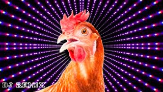 j geco chicken song and video 2024 [upl. by Inhoj]