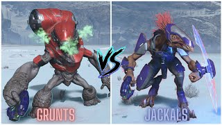 Halo Infinite  Grunts VS Jackals Forge AI Battle [upl. by Janette]