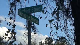 Deckert St Interlachen FL By Viewer Request [upl. by Ennaylil]