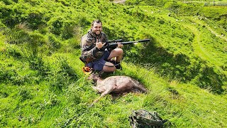 24 hrs in Whanganui NZ Hunting Fallow Deer amp Trout Fishing  Catch amp Cook 2024 HD [upl. by Nas]