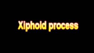 What Is The Definition Of Xiphoid process [upl. by Anitsugua345]