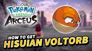 How to get HISUIAN VOLTORB Location  Pokemon Legends Arceus [upl. by Sidran510]