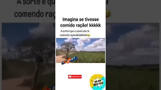 Memes tente não rir impossível Kkkkk VÍDEOS ENGRAÇADOS DA INTERNET tente 129 meme memes [upl. by Refinneg]