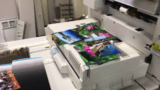 used Noritsu QSS 3704 g in printing action [upl. by Rotce]