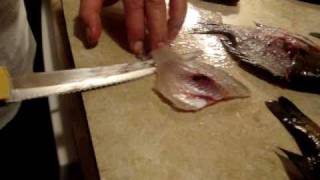 How to Fillet a Bluegill in 40 Seconds [upl. by Enniroc]