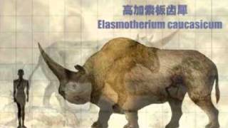 E is for Elasmotherium [upl. by Ahsekim419]