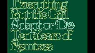 Everything But The Girl  Corcovado Ben Watt Vocal ReEditMix [upl. by Ayanej]