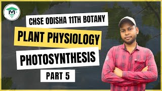 Plant Physiology Class 11 in Odia  Chapter 11 Photosynthesis  Lecture 5 [upl. by Tilda501]