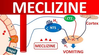 Meclizine for vertigo and motion sickness [upl. by Ecam]