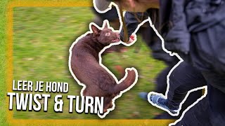 TRAIN JE HOND  Hoe leer je je hond het commando TWIST amp TURN [upl. by Faruq]